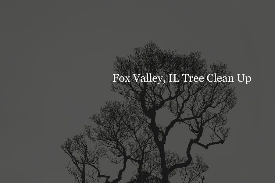 Fox Valley Illinois Tree Clean Up