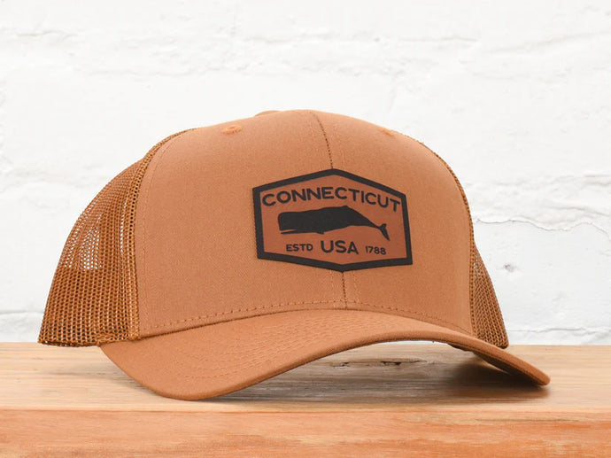 Connecticut Nutmeg Snapback - Brown